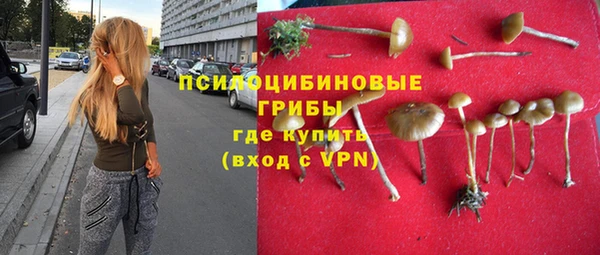 а пвп мука Алексеевка
