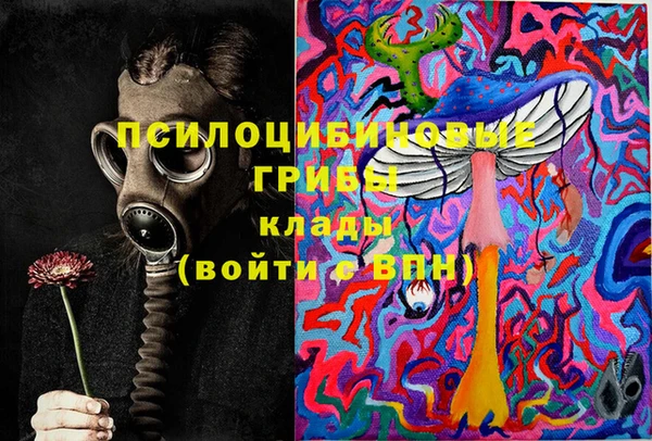 каннабис Новодвинск