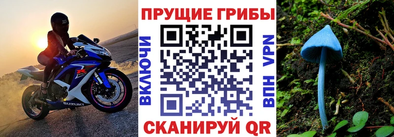 Псилоцибиновые грибы Psilocybine cubensis  Анапа 